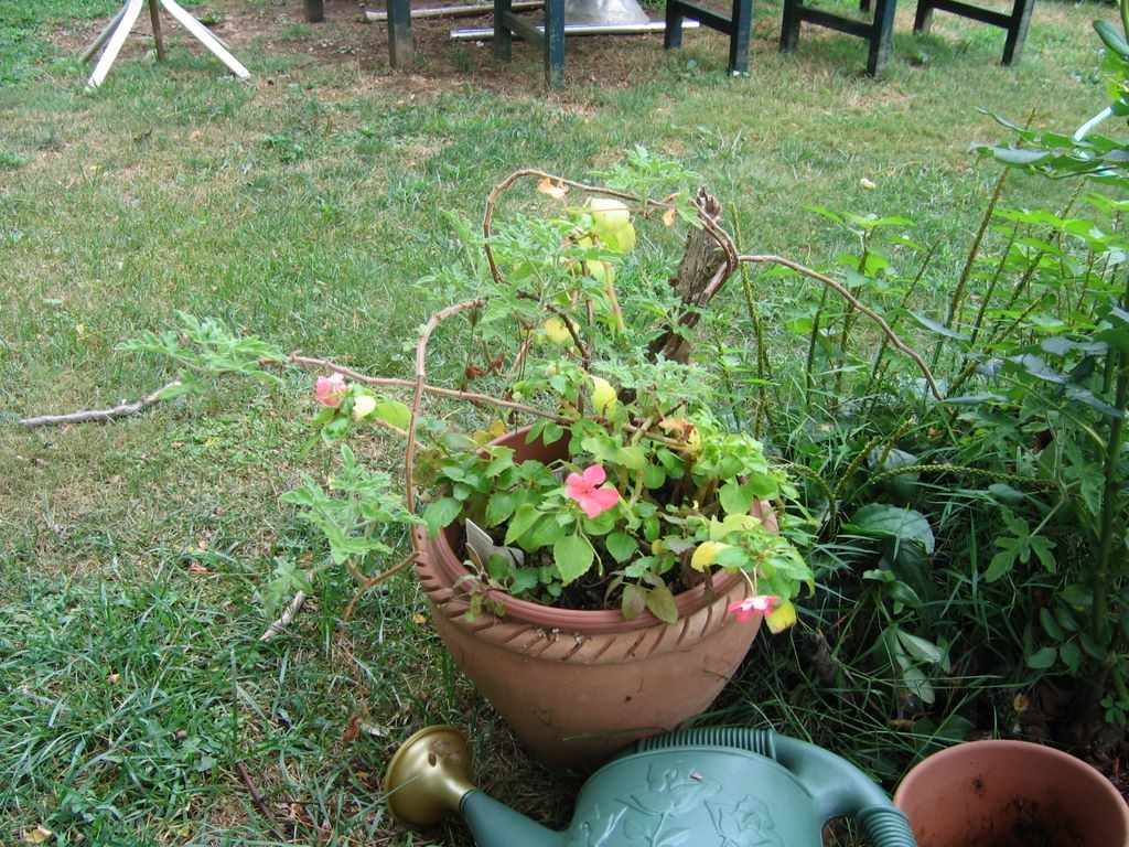 img_1833.jpg